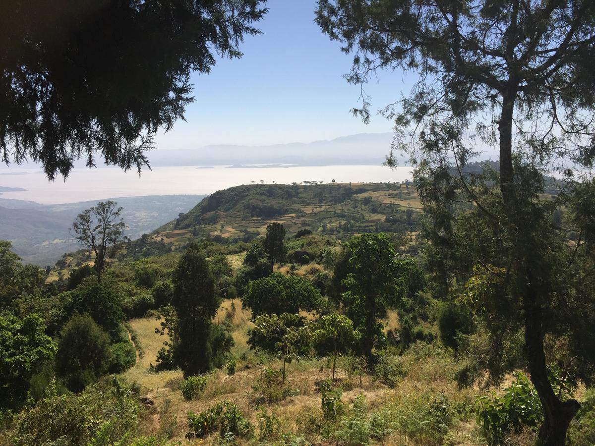 Dorze Lodge Arba Minch Luaran gambar